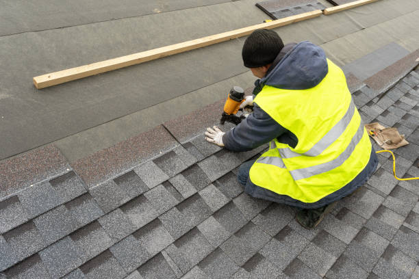 Best Metal Roofing Contractor  in Manana, HI
