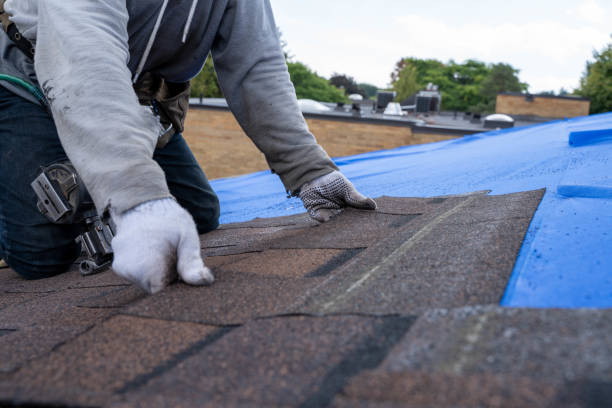 Best Commercial Roofing Services  in Manana, HI