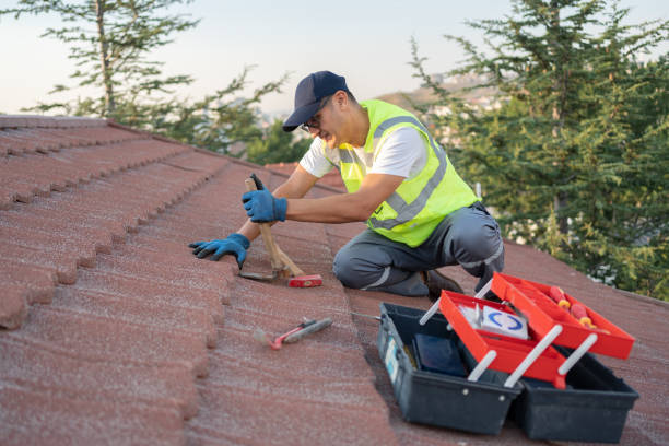 Best Emergency Roof Repair  in Manana, HI