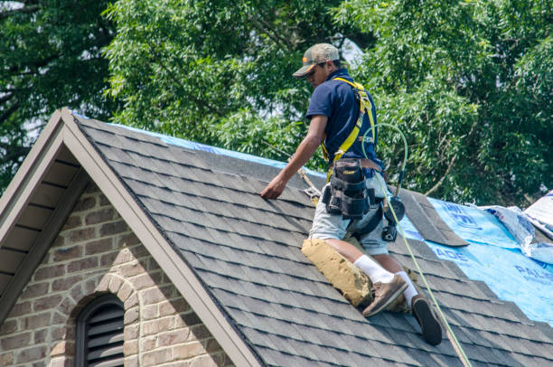 Best New Roof Installation  in Manana, HI